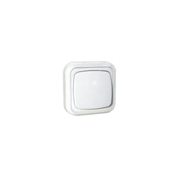 Interrupteur de surface 10A/250V Electro Dh 36.480/C, couleur blanc, 843055552111503