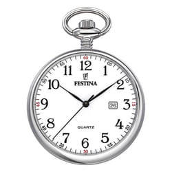 Festina montre Homme F2019/1