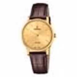 Montre Femme - Festina - F200172 - Quartz - Cuir - Doré Marron - Classique