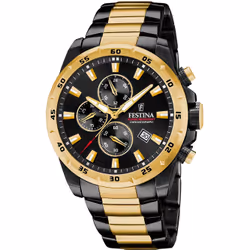 Montre Festina Chrono Sport F20563/1 acier