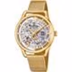 Festina Automatic Watch F20629/1