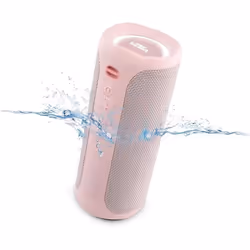 Vieta Pro Enceinte Bluetooth puissanterésistante à leaubatterie 10Hmicrophonegrande enceinte portable True WirelessAux InU