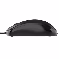 Nilox MOUSB1011 souris USB Type-A Optique 1200 DPI
