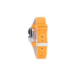 Montre Laura Biagiotti pour Femme LB0001L-DN