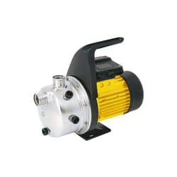 Pompe de jardin Delta 1005 sm 230Volt, DN25(1)