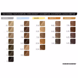Revlon Revlonissimo Colorsmetique Haute Couverture 6.42 Blond Foncé Marron Nacre 60 ml - Vue supplémentaire 6