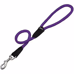Gloria Laisse pour Chien 1.2 x 60 cm Violet