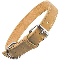 Gloria Collier pour Chien Oasis Jaune (65 x 3 cm)