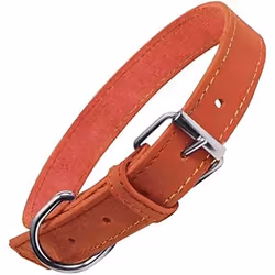 Gloria Collier pour Chien Oasis Rouge (65 x 3 cm)