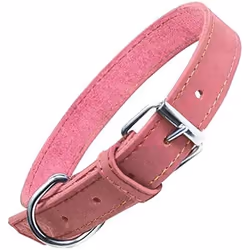 Gloria Collier pour Chien Oasis Rose (65 x 3 cm)