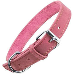 Gloria Collier pour Chien Oasis Rose (65 x 3 cm)