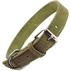 Gloria Collier pour Chien Oasis Vert (65 x 3 cm)