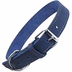 Gloria Collier pour Chien Oasis Bleu (70 x 3 cm)