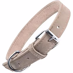 Gloria Collier pour Chien Oasis Blanc (70 x 3 cm)