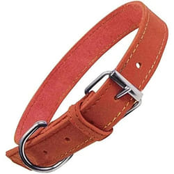 Gloria Collier pour Chien Oasis Rouge (70 x 3 cm)