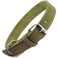 Gloria Collier pour Chien Oasis Vert (70 x 3 cm)