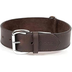 Gloria Collier pour Chien Marron 65 cm (65 x 4 cm)