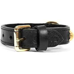 Gloria Collier pour Chien Duna Noir Doré (50 x 2,5 cm)