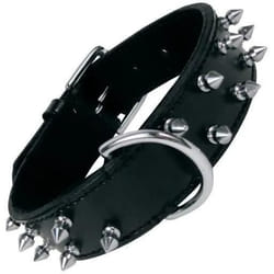 Gloria Collier pour Chien Noir Clous (65 cm)