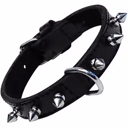 Gloria Collier pour Chien Noir Clous (40 cm)