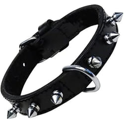 Gloria Collier pour Chien Noir Clous (40 cm)
