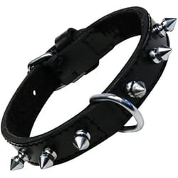 Gloria Collier pour Chien Noir Clous (45 cm)