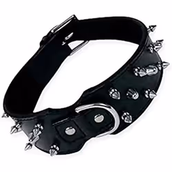 Gloria Collier pour Chien Noir Clous (55 cm)