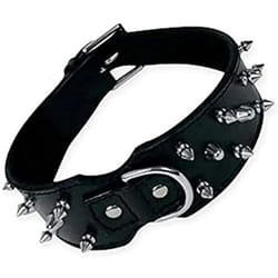 Gloria Collier pour Chien Noir Clous (65 cm)