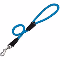 Gloria Laisse pour Chien Turquoise (1 x 120 cm)