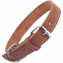 Gloria Collier pour Chien Oasis Marron (55 x 2,5 cm)