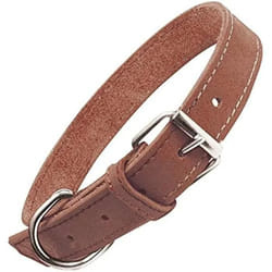 Gloria Collier pour Chien Oasis Marron (55 x 2,5 cm)