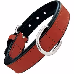 Gloria Collier pour Chien Rembourré Rouge 50 cm (50 x 2,5 cm)
