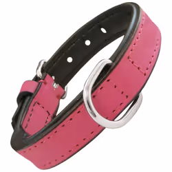 Si vous êtes à la recherche de nouveautés et d'articles tendance sur le marché, nous vous présentons le Collier pour chien re ...