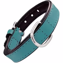 Gloria Collier pour Chien Rembourré Turquoise 40 cm (40 x 2 cm)