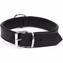Gloria Collier pour Chien Drymilled Noir (35 x 1,5 cm)