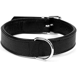 Gloria Collier pour Chien Drymilled Noir 45 cm (45 x 2 cm)
