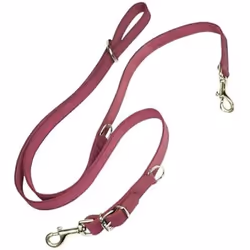 Gloria Laisse pour Chien Oasis Multiple 2.1 x 200 cm Rose