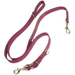 Gloria Laisse pour Chien Oasis Multiple 2.1 x 200 cm Rose