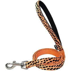 Gloria Laisse pour Chien 1.5 x 120 cm Orange