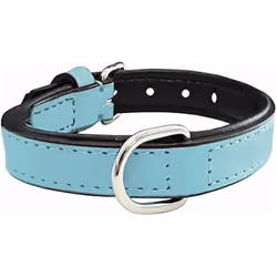 Gloria Collier pour Chien Rembourré Bleu (55 x 2,5 cm)