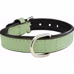 Gloria Collier pour Chien Rembourré Vert (40 x 2 cm)