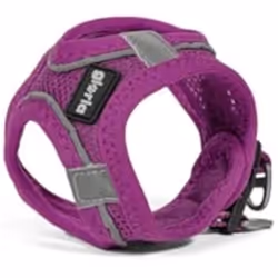 Gloria Harnais pour Chien Trek Star 24-26 cm 28-28,6 cm Violet XXS