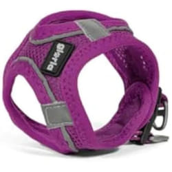 Gloria Harnais pour Chien Trek Star 24-26 cm 28-28,6 cm Violet XXS