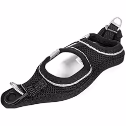 Gloria Harnais pour Chien Air Mesh Star Noir Taille XXS (24-26 cm)
