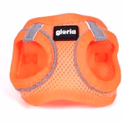 Gloria Harnais pour Chien Trek Star 27-28 cm 31-34,6 cm Orange XS