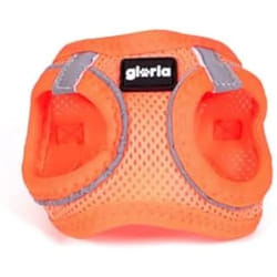Gloria Harnais pour Chien Trek Star 27-28 cm 31-34,6 cm Orange XS