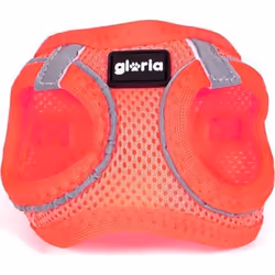 Gloria Harnais pour Chien Trek Star 29,4-32,6 cm 41,4-43 cm Rose S