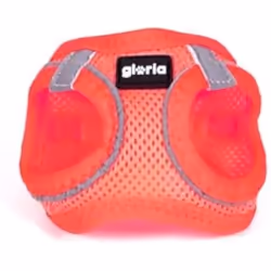 Gloria Harnais pour Chien 32,8-35,4 cm 45-47 cm Rose M