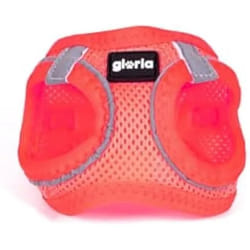 Gloria Harnais pour Chien 32,8-35,4 cm 45-47 cm Rose M