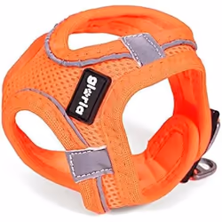 Gloria Harnais pour Chien Air Mesh Trek Star Réglable Orange L (33,4-35 cm)